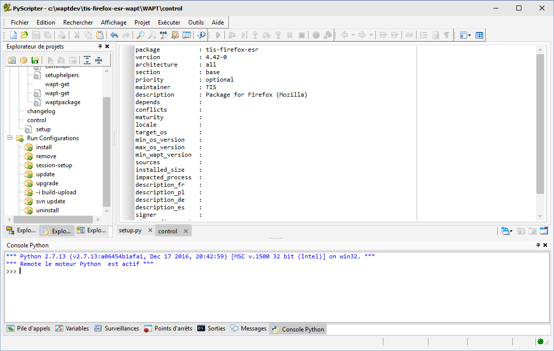 PyScripter opening with focus on the *control* file