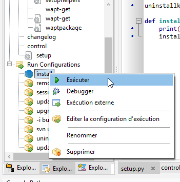 Running an install command from the PyScripter console