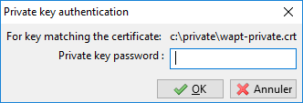 Providing the password for unlocking the private key