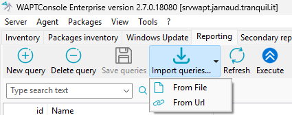 Importing a SQL query report in the WAPT Console