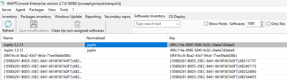 Normalizing the name of software titles in the WAPT Console