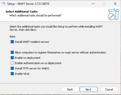 Choosing the installer options for deploying the WAPT Serer