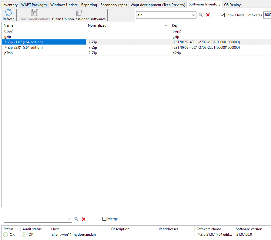 Showing hosts with selected software in the Software Inventory tab