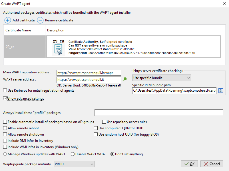 Setting more parameters for WAPT Agent configuration