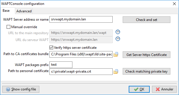 Configuration options for the WAPT console