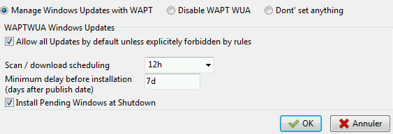 Options de menu pour l'agent de mise à jour Windows WAPT