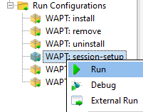 PyScripter - Exécution de l'installation de la session