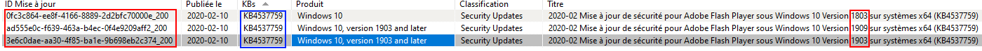 Liste montrant les KB en double dans la Console WAPT